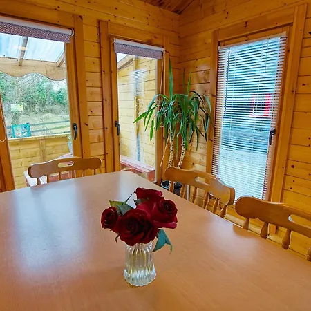 Red Robin Nest Galway