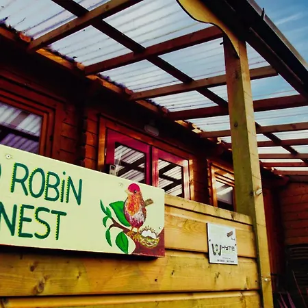 Red Robin Nest
