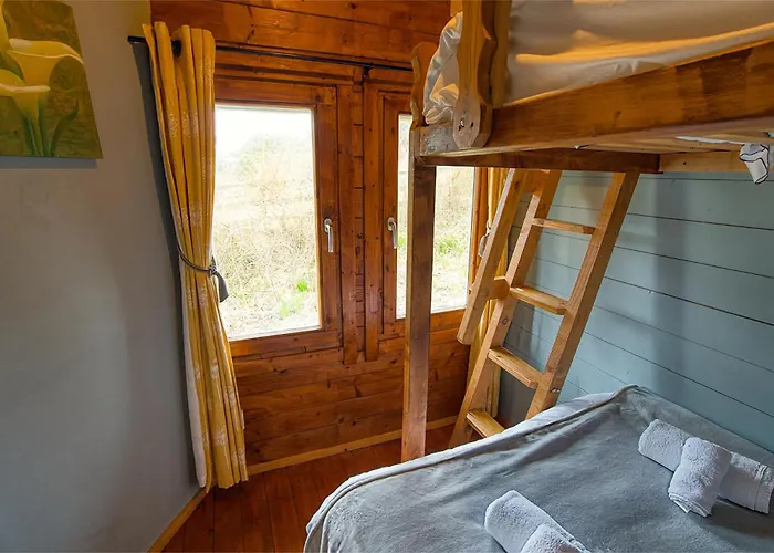 Red Robin Nest * Galway