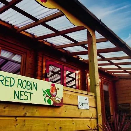 Red Robin Nest * غالواي