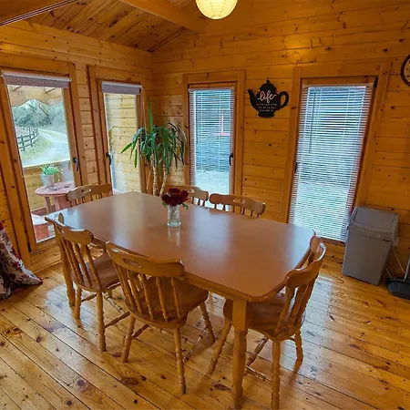 Red Robin Nest Apartamento