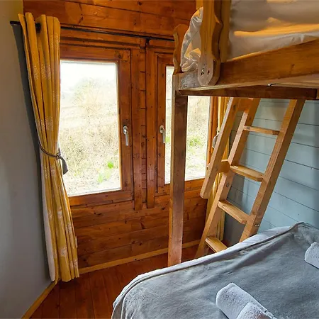 Red Robin Nest * Galway