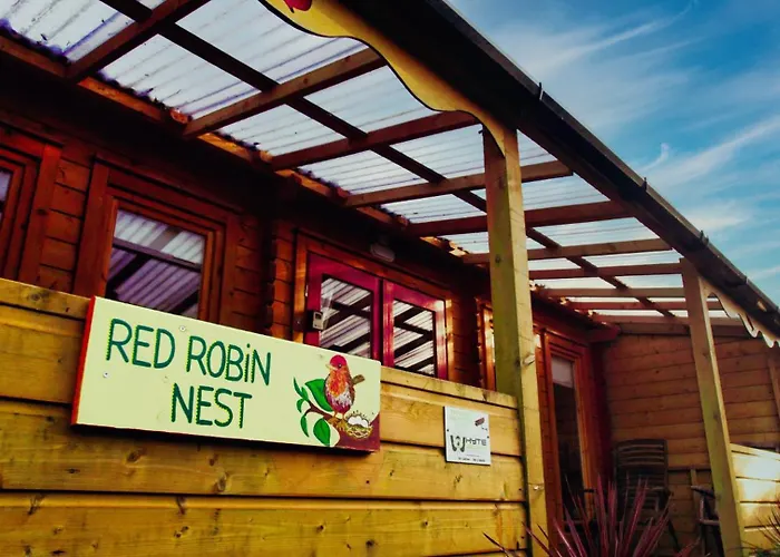 Red Robin Nest * Galway