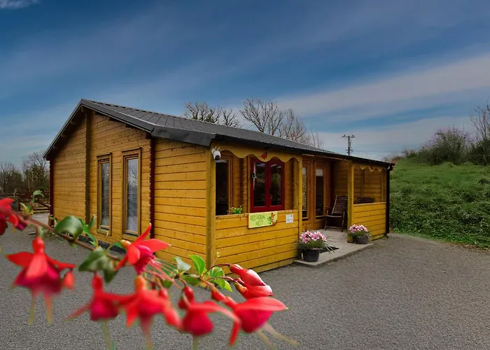 Red Robin Nest Galway