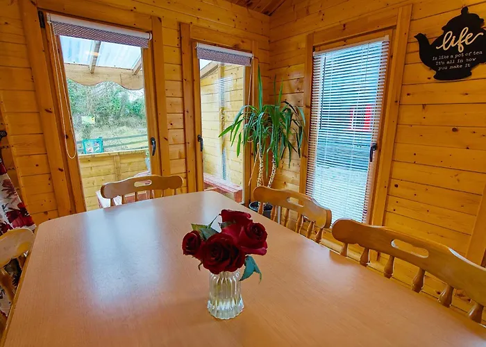 Red Robin Nest Galway